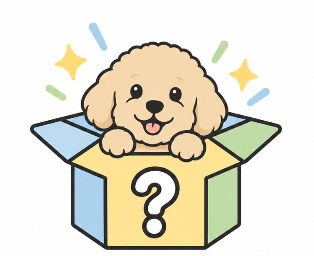 mystery box
